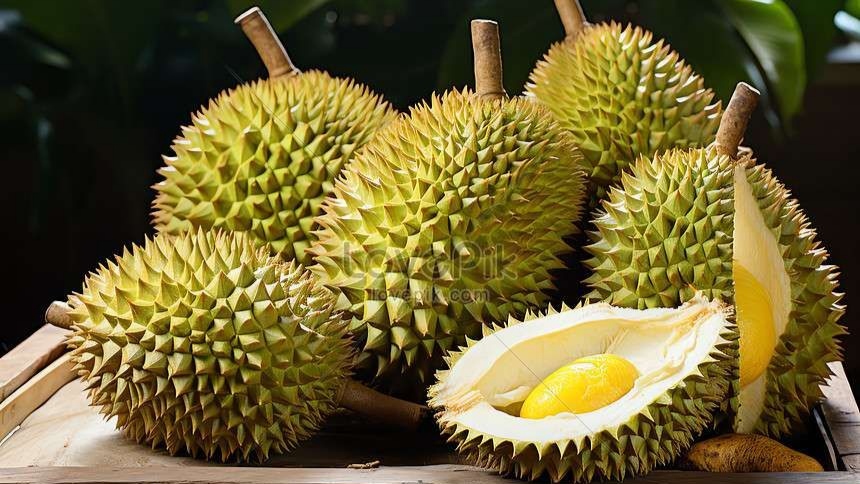 https://ashrawenvaputra.sempatpanic.site/assets/images/sliders/durian.jpg